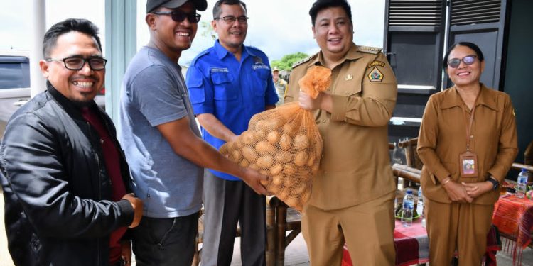 Petani Samosir Terima Bantuan 5 Ton Bibit Kentang