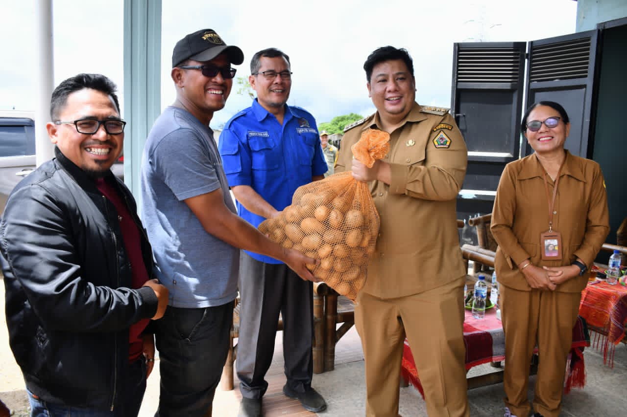 Petani Samosir Terima Bantuan 5 Ton Bibit Kentang