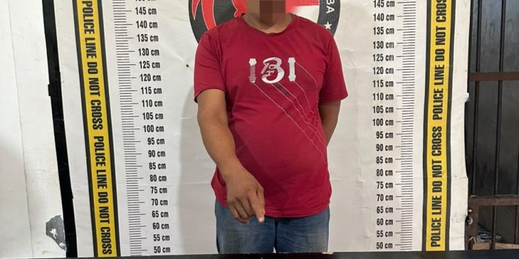 Bawa Sebelas Paket Sabu, Pria asal Sergai Ditangkap di Serbelawan