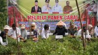IMG-20250518-WA0037