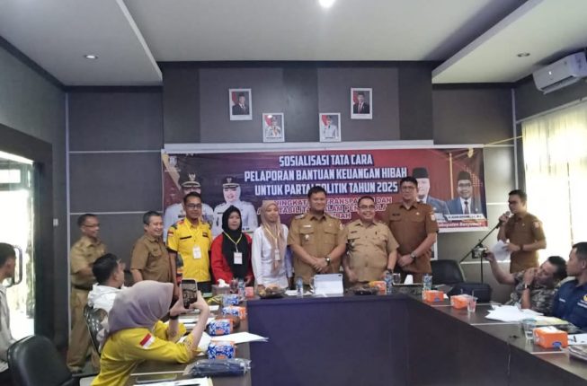 Banyuasin (2)