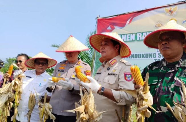 Banyuasin (6)