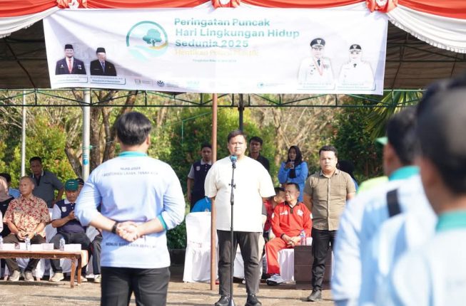 Banyuasin (7)