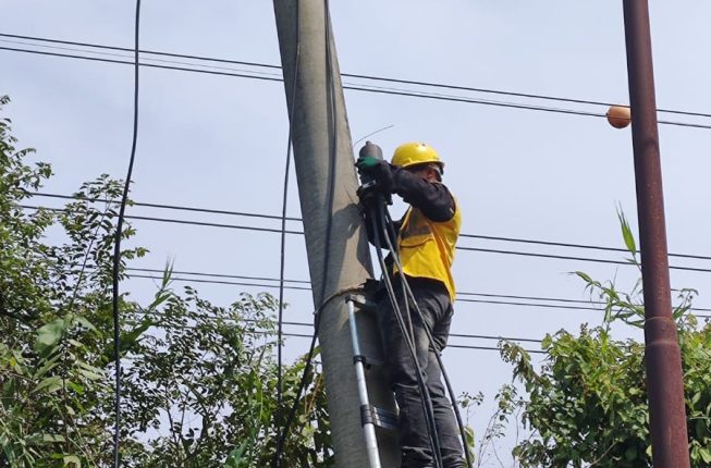 PLN Icon