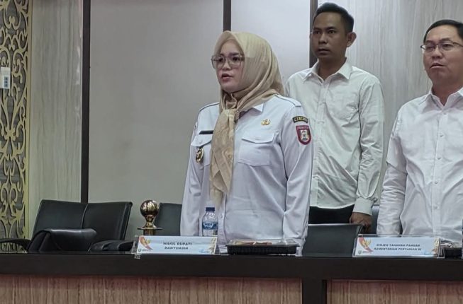(17) Banyuasin