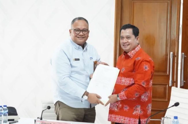 (29) Banyuasin
