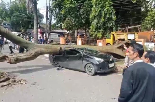 WhatsApp Image 2026-02-18 at 12.06.02