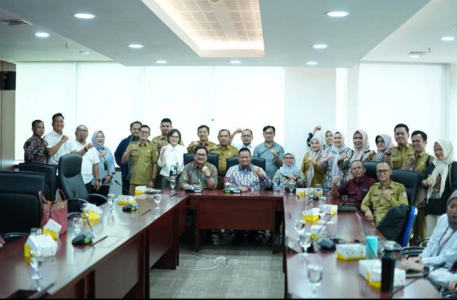 Banyuasin (4)