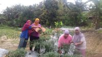 WhatsApp Image 2026-03-02 at 15.24.39 (1)