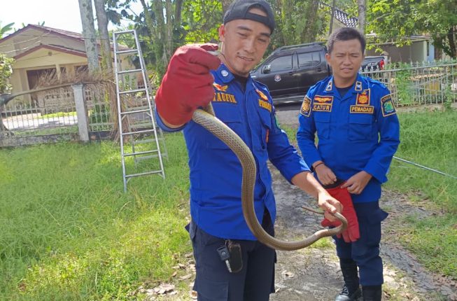 WhatsApp Image 2026-03-19 at 19.48.43