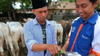 Ilustrasi-mantri-bri-ilustrasi-bri-bri-kur-bri-umkm-bri