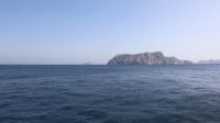 Hormuz