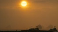 Xinhua 4