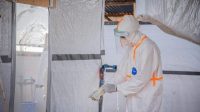 Ebola