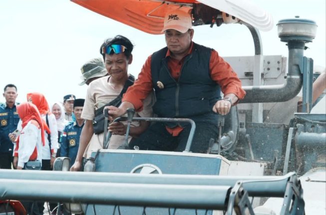 (15) Banyuasin