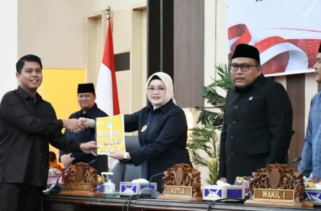 (3) Banyuasin