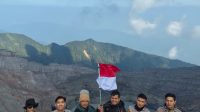 Bendera nocrop