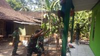 IMG-20260808-WA0012