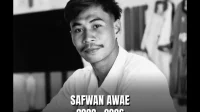 Pemain bola