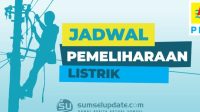 WhatsApp Image 2026-08-04 at 09.52.44