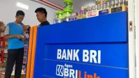 brilink