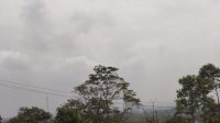 IMG-20260918-WA0006
