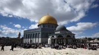 Palestina2