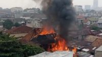 WhatsApp Image 2026-09-30 at 19.31.48