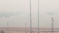 ampera nocrop