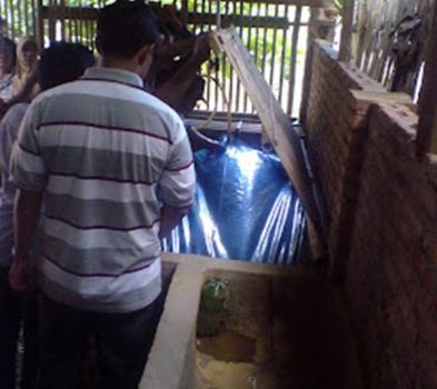 Biogas: Harga Gas Naik, Pino Tetap Tenang