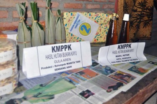 Hasil industri rumah tangga Kelompok Wanita Tani Sendang Asih, Desa Sendang Agung, Lampung Tengah. Foto: Oyos Saroso HN