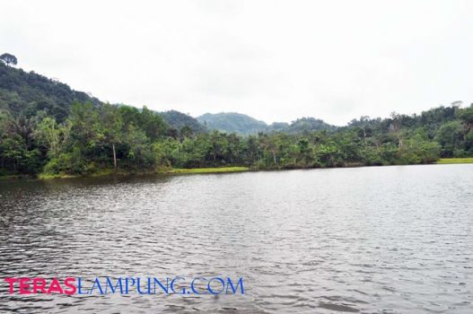 Berkat Hutan, Warga Sendang Agung tak Lagi Takut Musim Paceklik