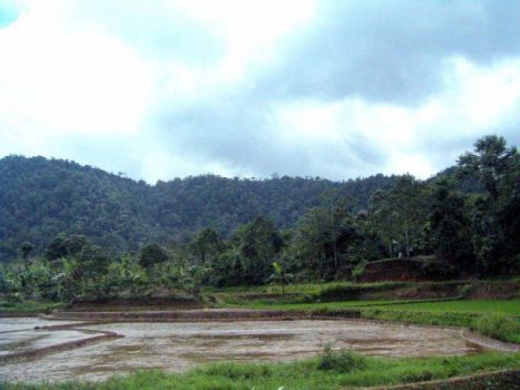 HKM, Petani Tribudisyukur Sejahtera karena Panen Sepanjang Tahun