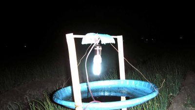 Meringkus Grandong dengan Lampu Neon