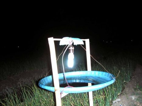 Meringkus Grandong dengan Lampu Neon