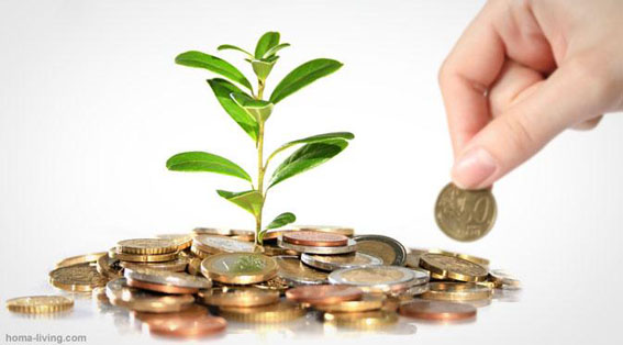 DIRE Ciptadana Properti Ritel Indonesia Bagikan Deviden pada Agustus 2014