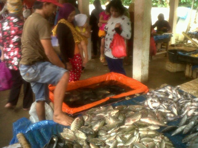 Selama Ramadan, Permintaan Ikan Naik