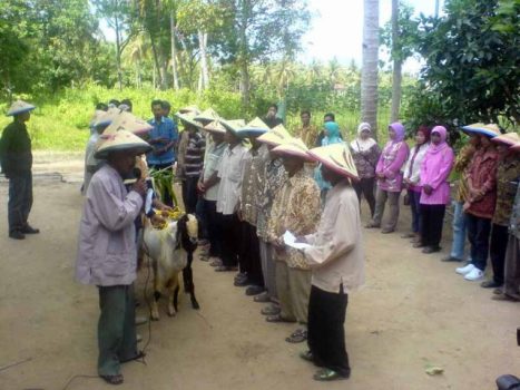 Kearifan Lokal dalam Program Bantuan Kambing Bergulir di Lampung Timur