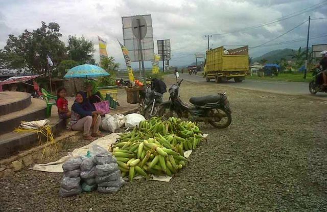 Jelang Tahun Baru, Penjual Jagung Marak di Pringsewu