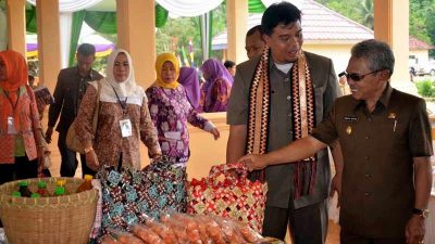 Tim Penilai Lomba Desa Kunjungi Desa Dwi Karya Mustika