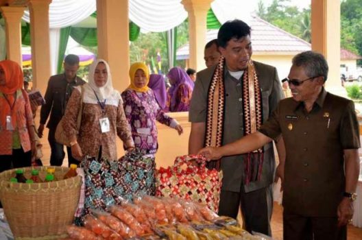 Tim Penilai Lomba Desa Kunjungi Desa Dwi Karya Mustika