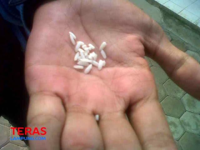 Polresta Bandarlampung Kirim Sampel “Beras Plastik” ke Laboratorium IPB