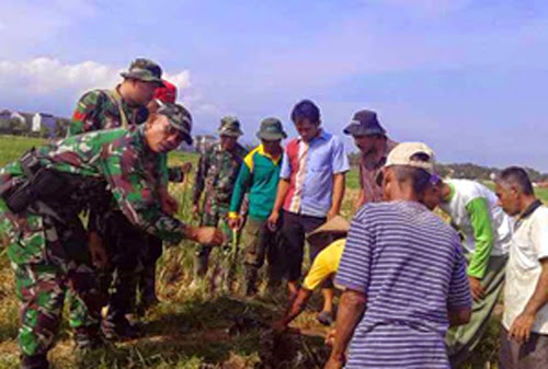 Anggota Kodim Lamsel, Koramil, dan Para Petani Kerjasama “Gropoyan” Tikus