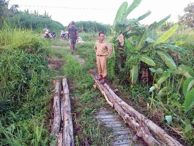 Bupati Khamami Mengecek Jembatan di Desa Suka Maju