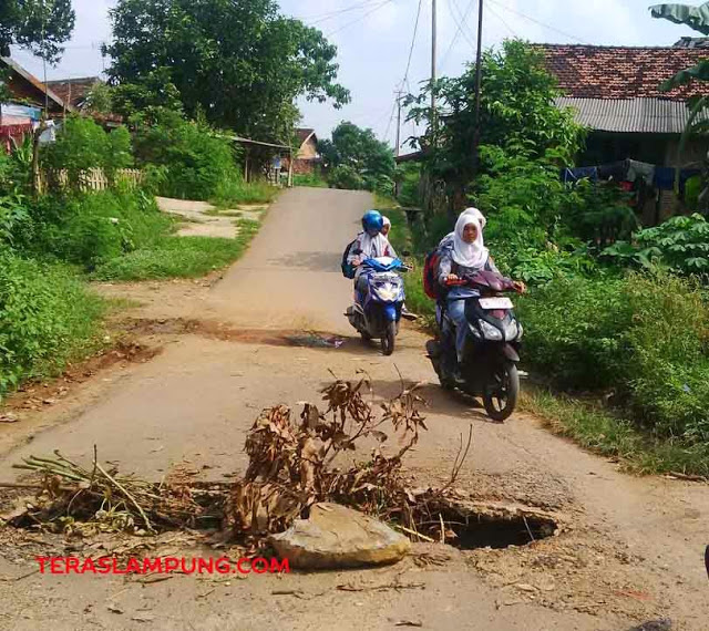 Disesalkan, Renovasi Jalan Bukit Pesagi tak Masuk dalam Daftar Proyek Pembangunan Pemkab Lampung Utara