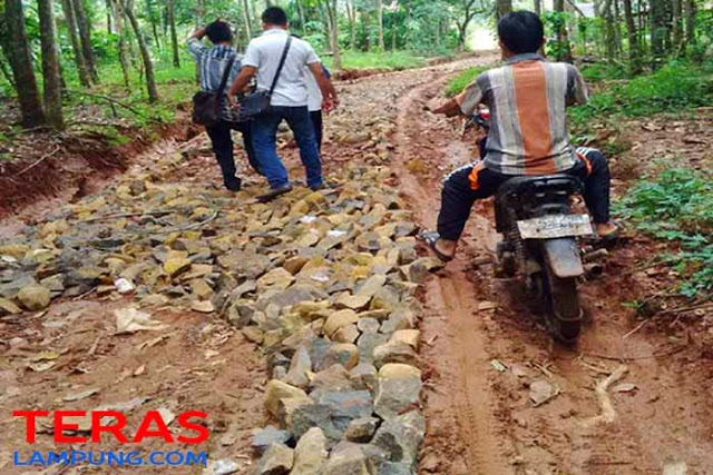 Proyek Jalan Terbengkelai, Ketua BKAD Desa Pekurun Hanya Bisa Pasrah