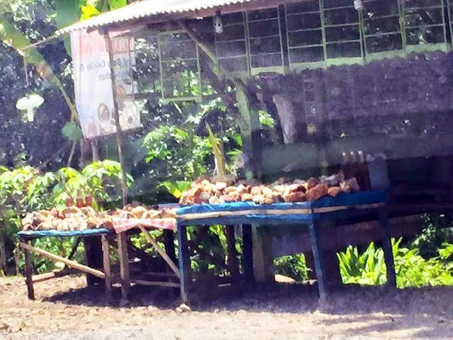Di Jalinsum Way Kanan, Batu Akik Berdampingan dengan Madu dan Burung