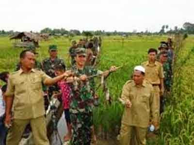 Kelompok Tani Bersama Babinsa ”Gropyokan” Hama Tikus