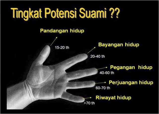 Tentang Seks di Usia Emas