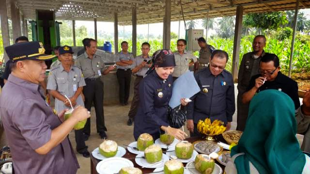 Lampung Kontribusi Produksi Padi 4,8 Persen/Tahun Terhadap Produksi Nasional